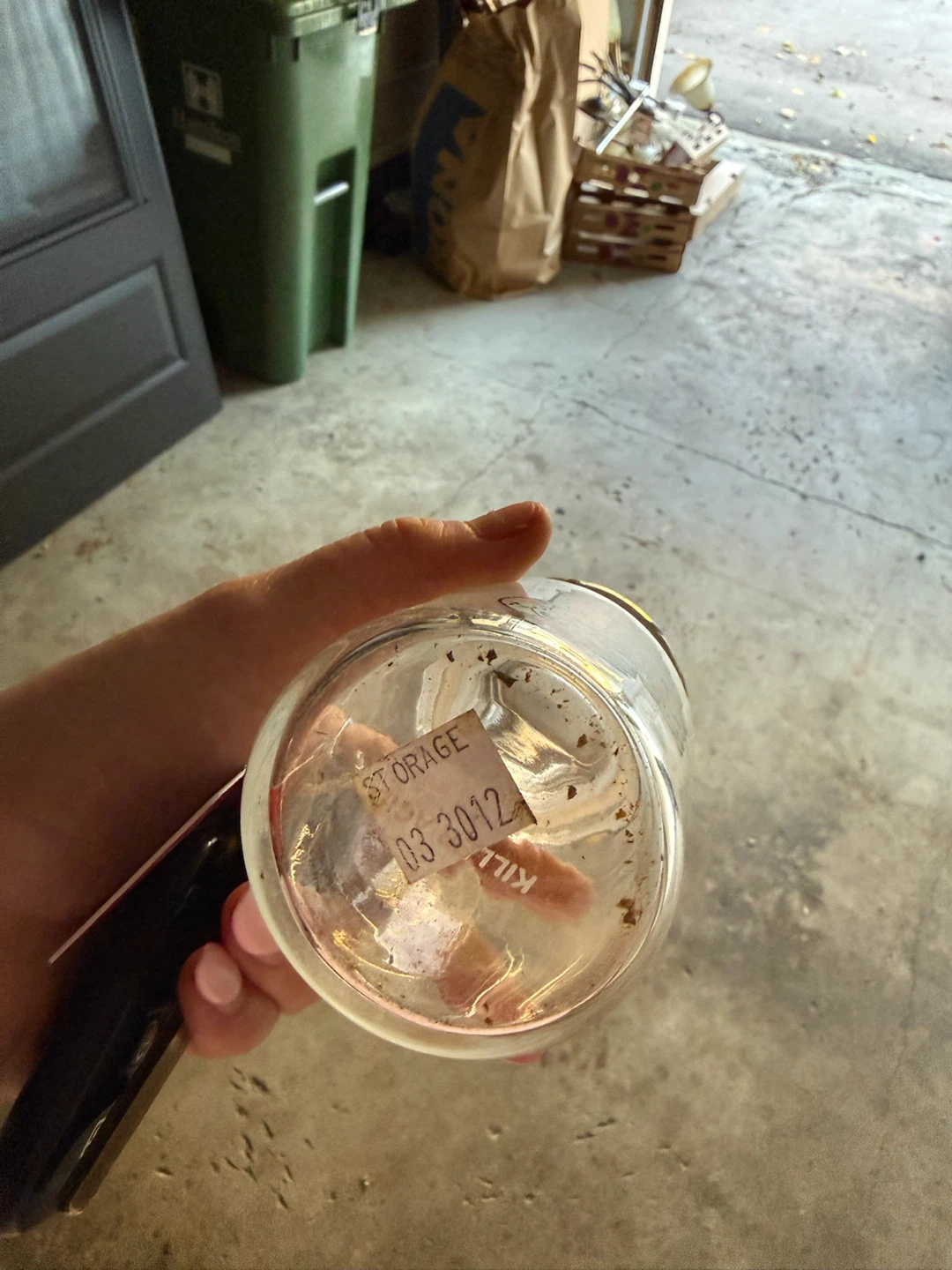 Illustrated Glass Storage Jar - photo 4