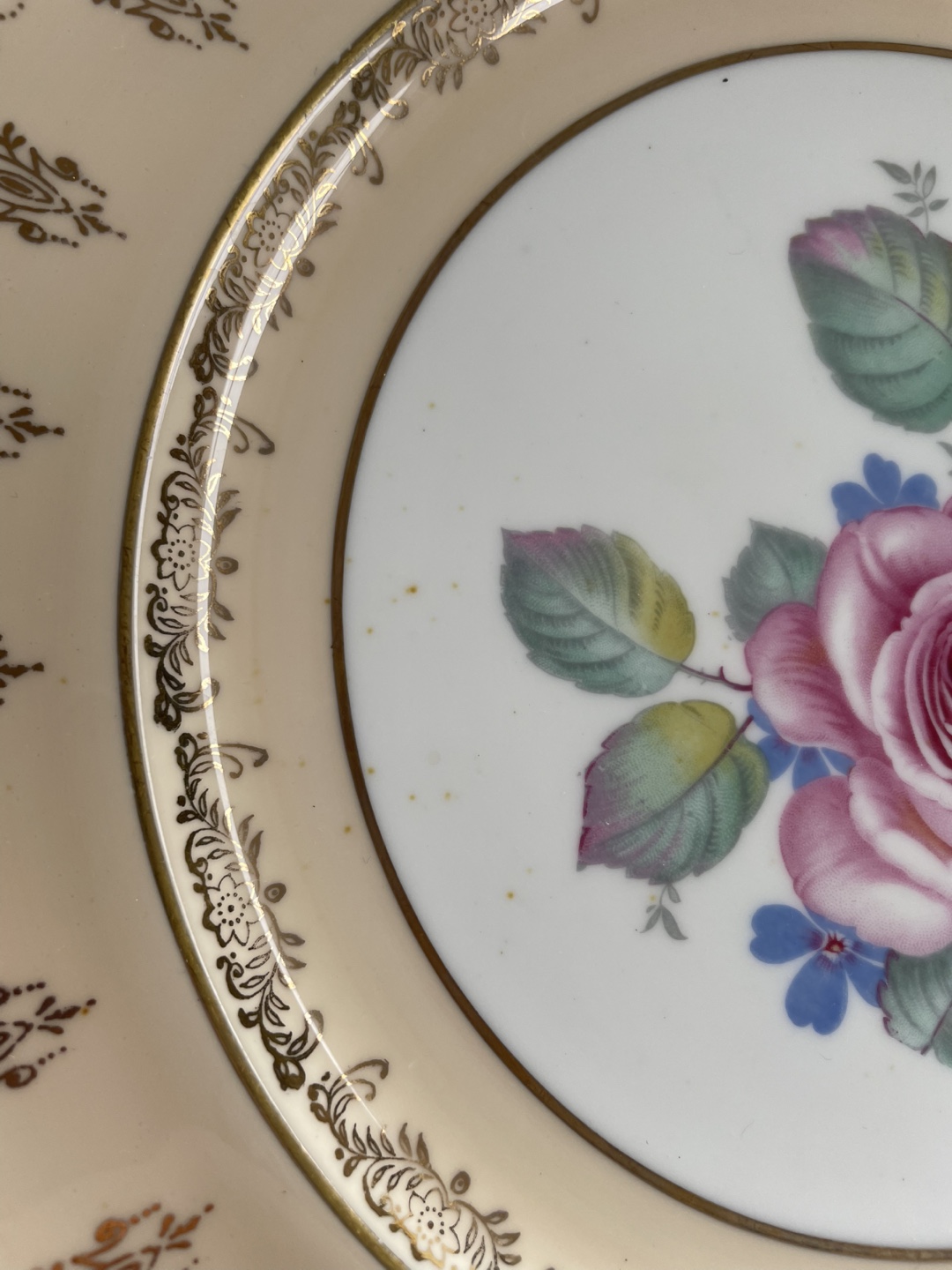 Vintage Rose China Plate - photo 3