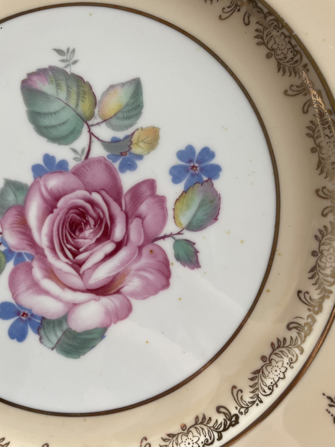 Vintage Rose China Plate - photo 4