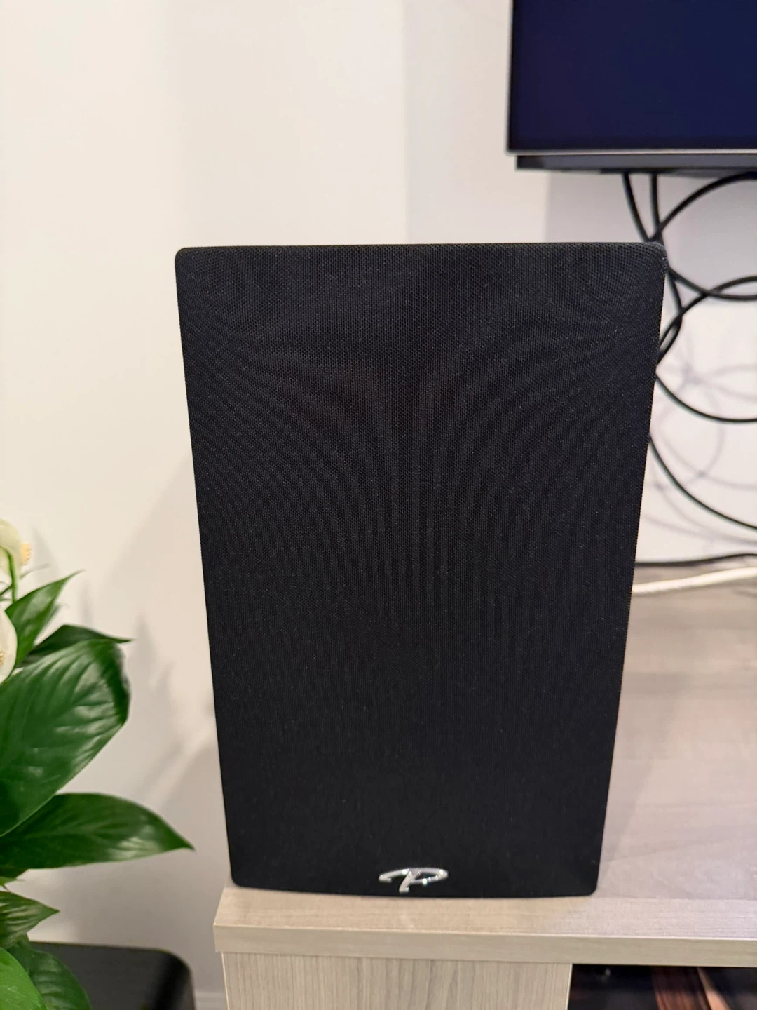 Bookshelf speakers