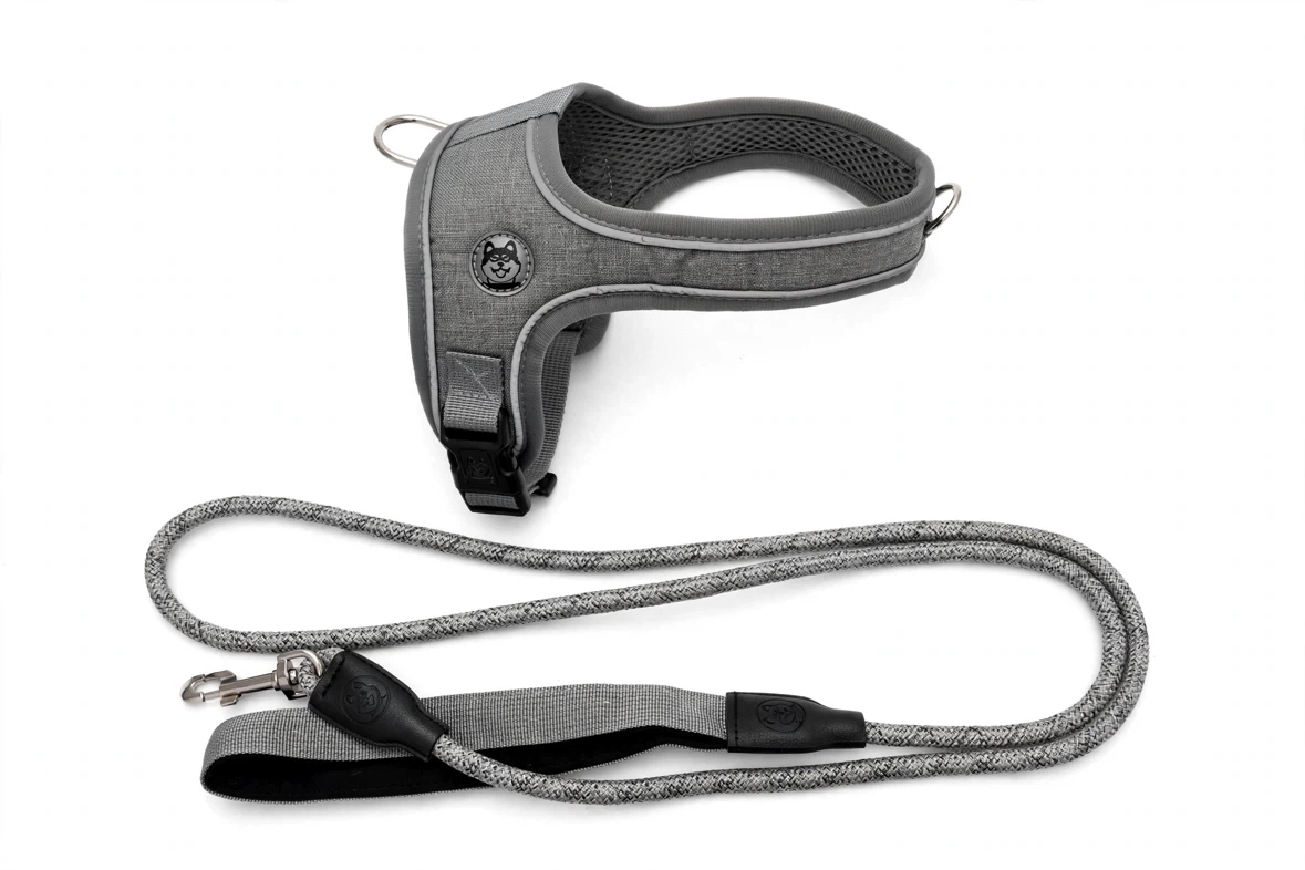 Dog Harness and Leash Set