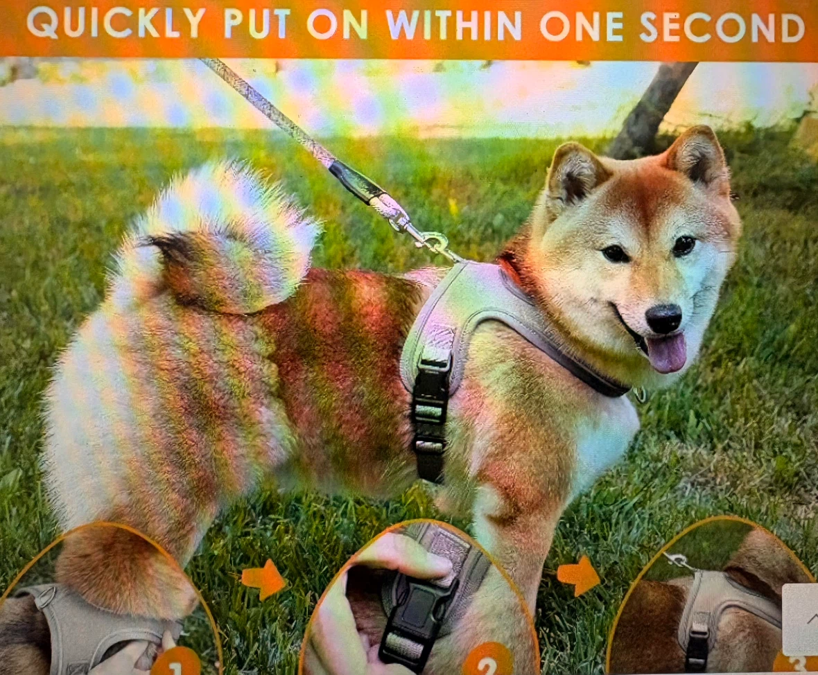 Dog Harness and Leash Set - photo 2