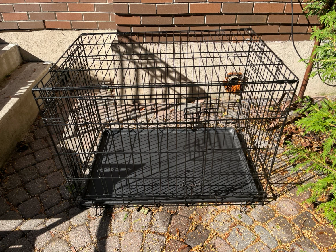 36” Black Folding Dog Crate / 2 Doors / Plastic Liner / Blanket
