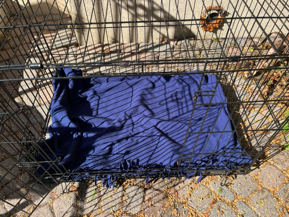 36” Black Folding Dog Crate / 2 Doors / Plastic Liner / Blanket - photo 5