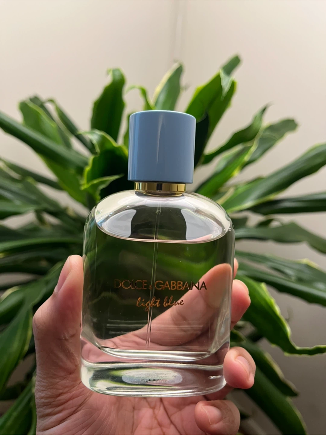 Dolce & Gabbana Light Blue EDP 2026 for Men 100ml