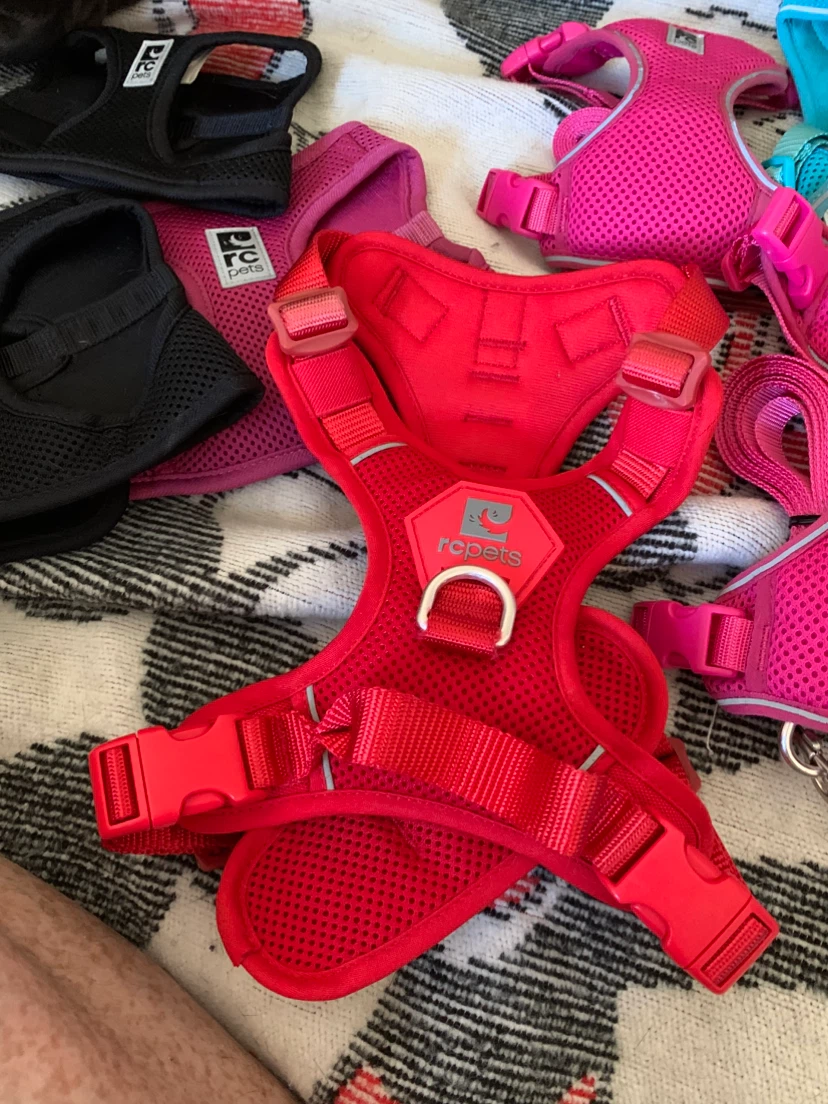 RC Pets Dog Harnesses please read