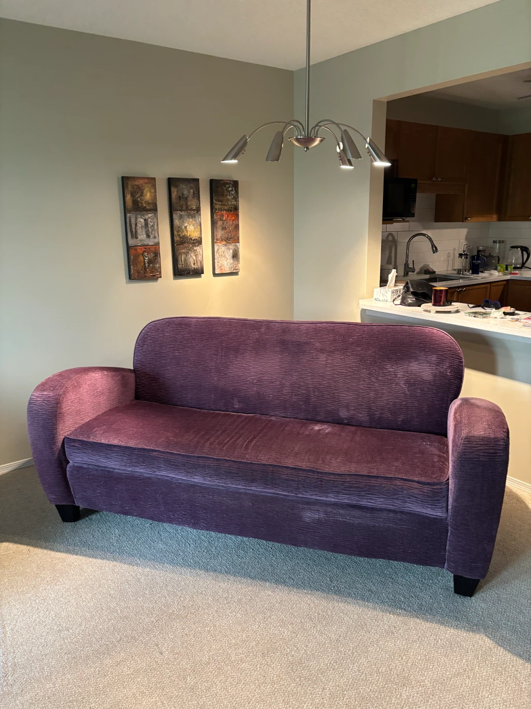 Purple Velvet Textured Sofa