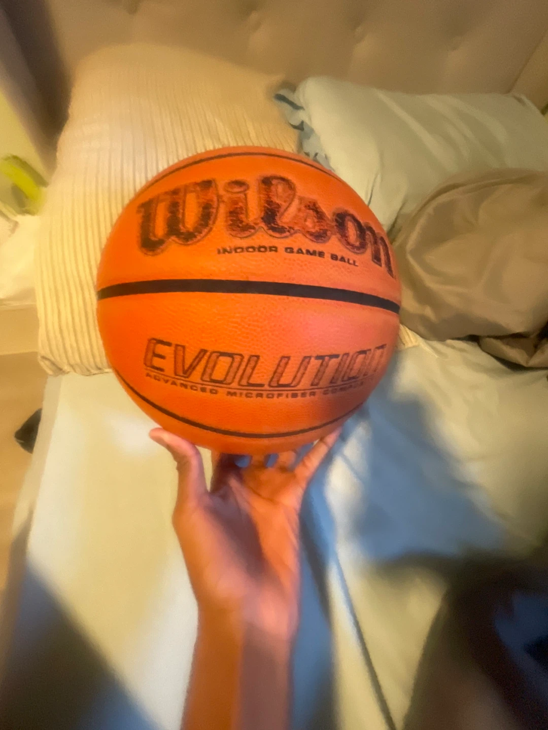 Wilson Evolution Indoor Basketball