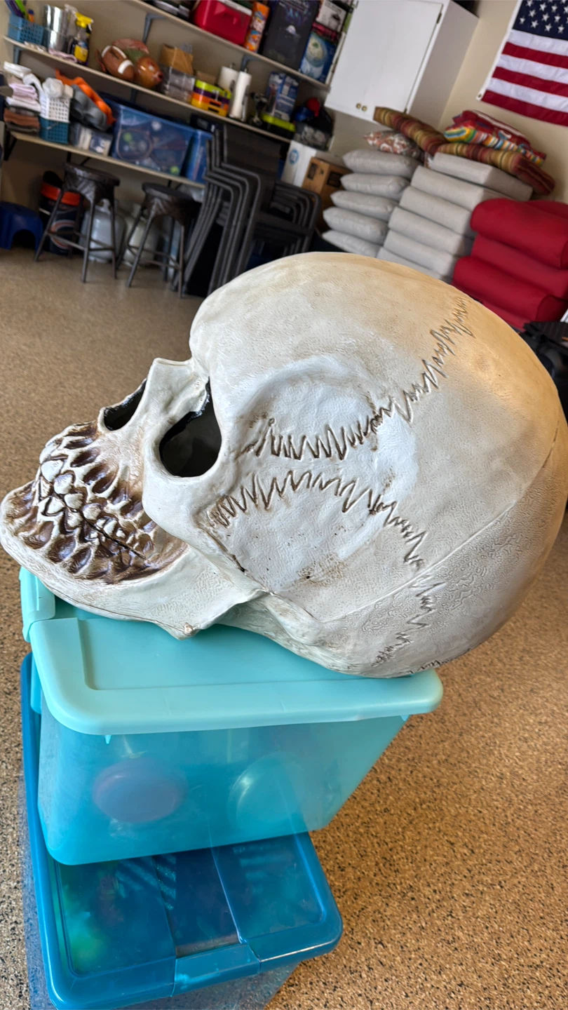 Large Decorative Light Up Skull Halloween NEW - photo 5
