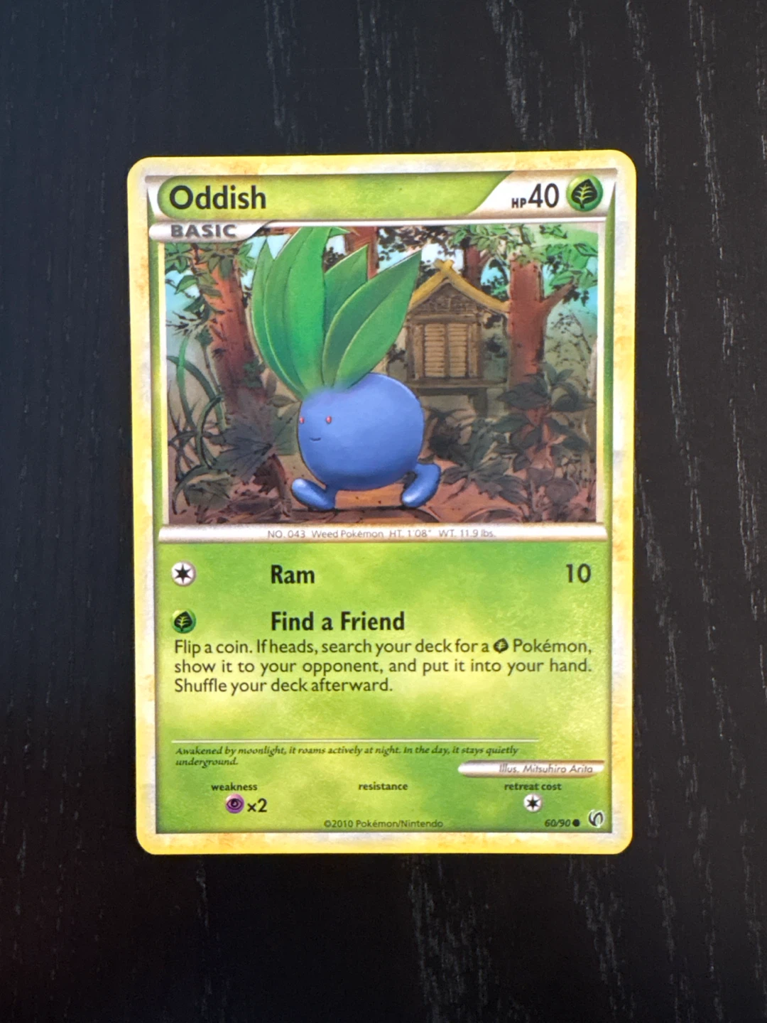 Oddish - Undaunted 60/90