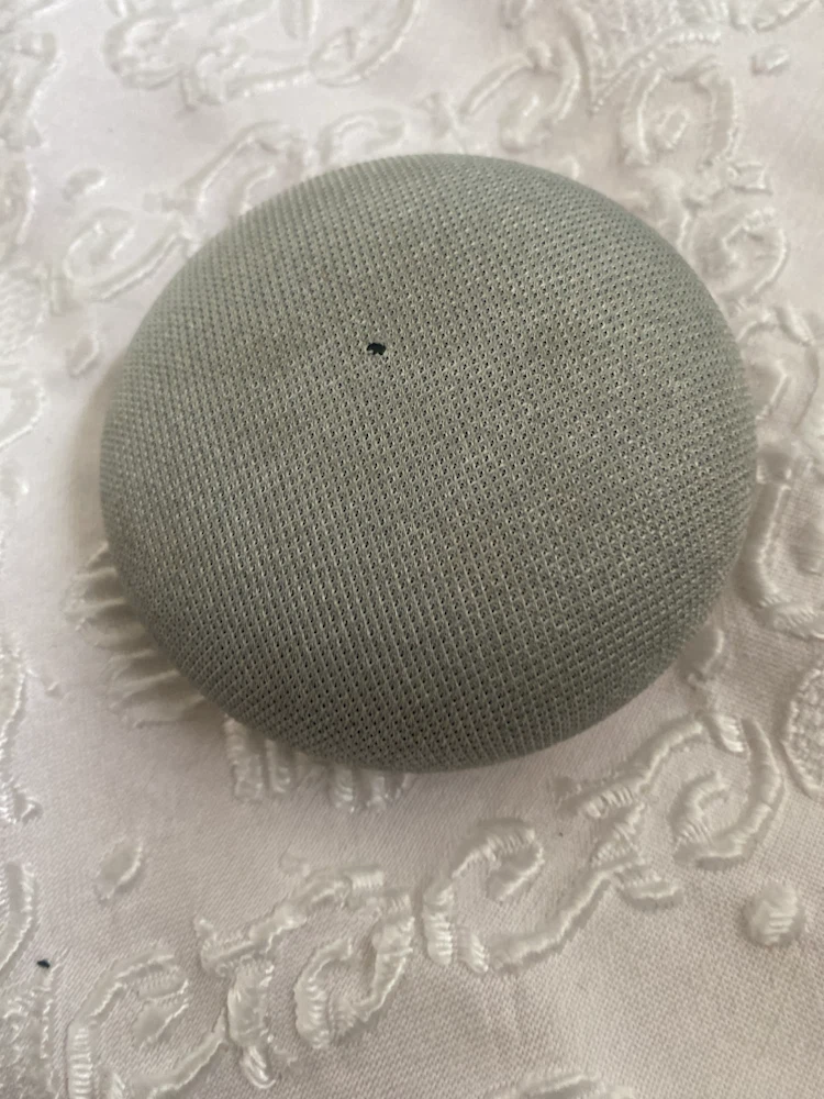 Google Nest Mini Smart Speaker