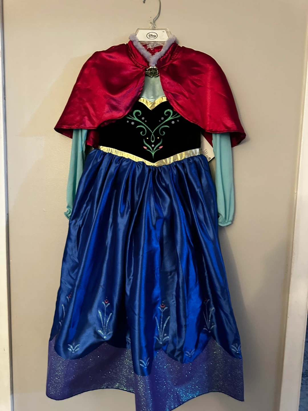 Disney Anna  Costume Dress