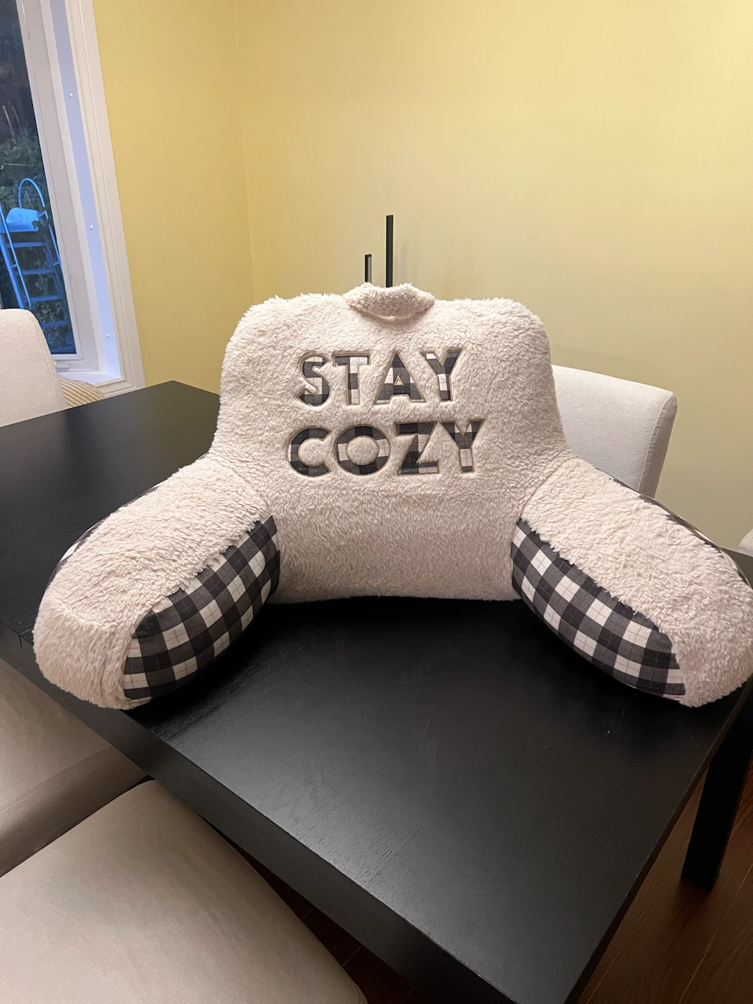 Stay Cozy Reading Pillow