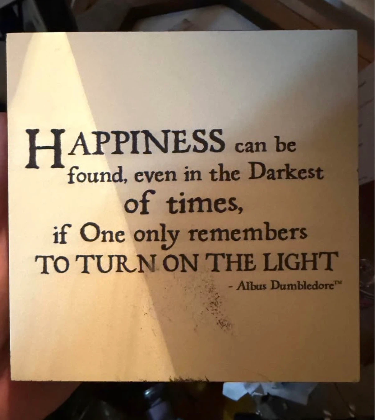 Harry Potter Dumbledore Quote Wall Decor
