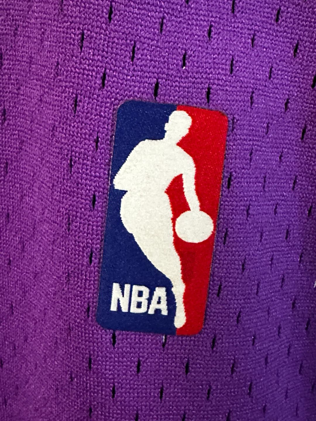 Mitchell & Ness Vince Carter Toronto Raptors Jersey - photo 5