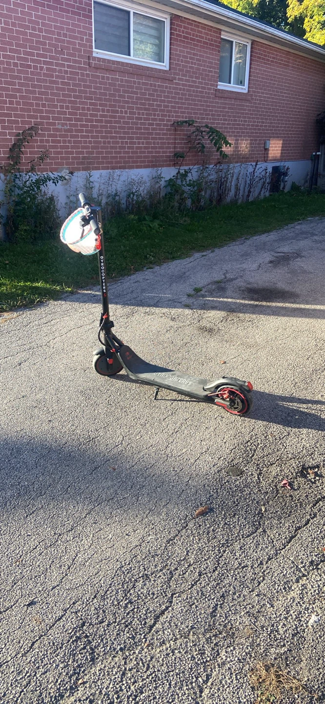 Gyroor Electric Scooter