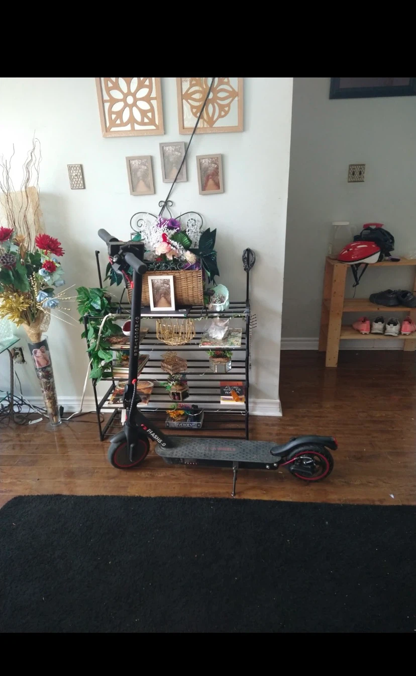 Gyrocopters Flash 5.0 Electric Scooter