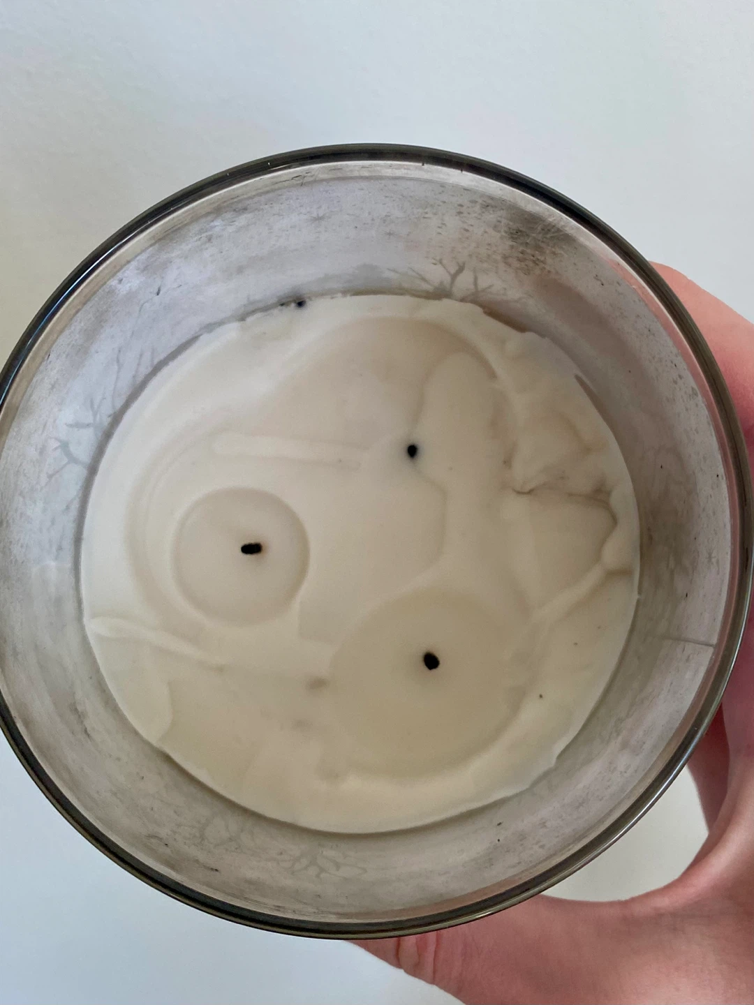 Large Snowflakes & Cashmere Candle - photo 2
