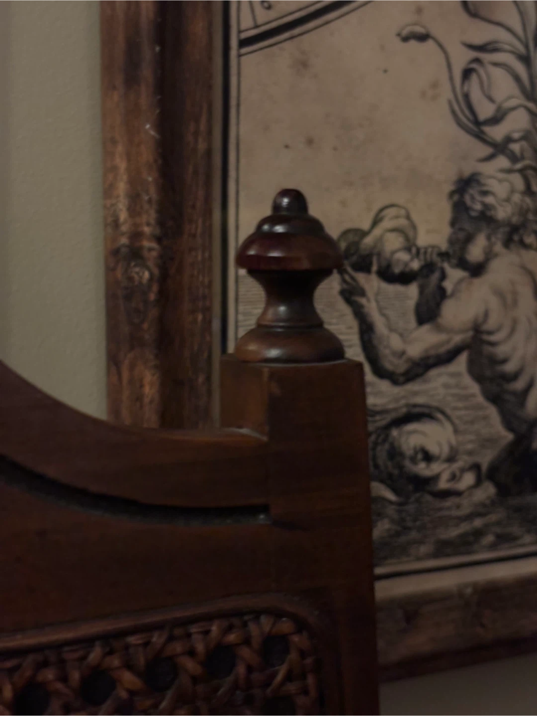 The Canapar Imperial Walnut & Cane Dining Chairs - photo 5