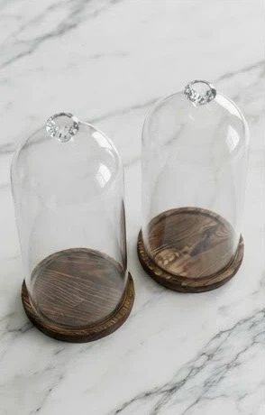 Set of 2 Glass Display Domes with Wooden Bases - photo 3