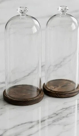 Set of 2 Glass Display Domes with Wooden Bases - photo 5