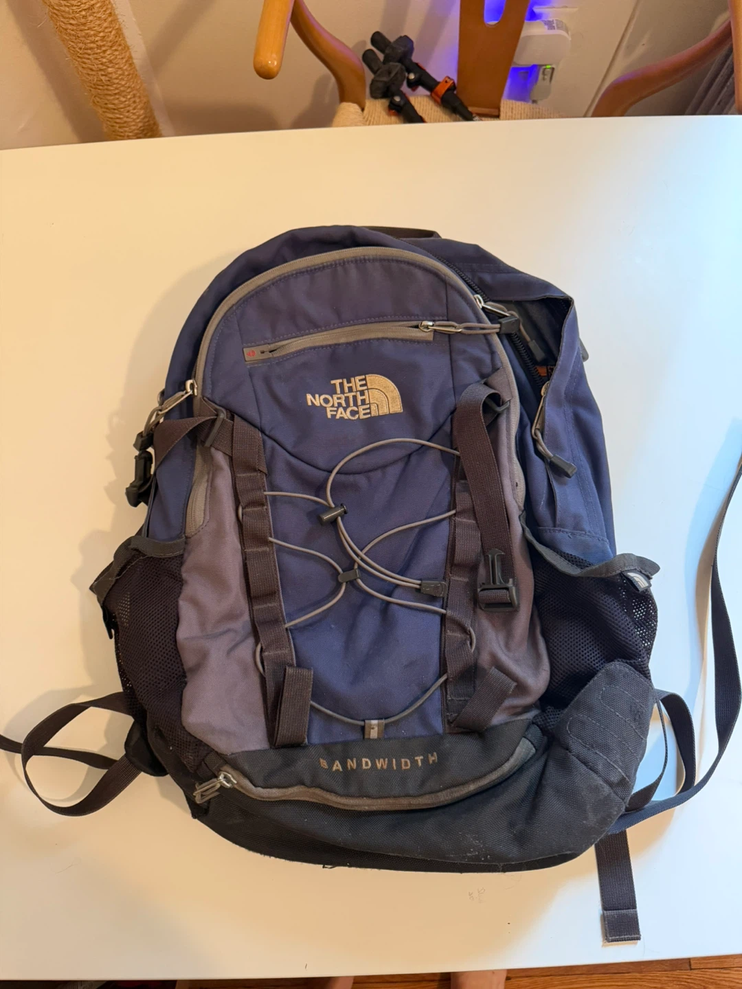 The North Face Bandwidth Backpack