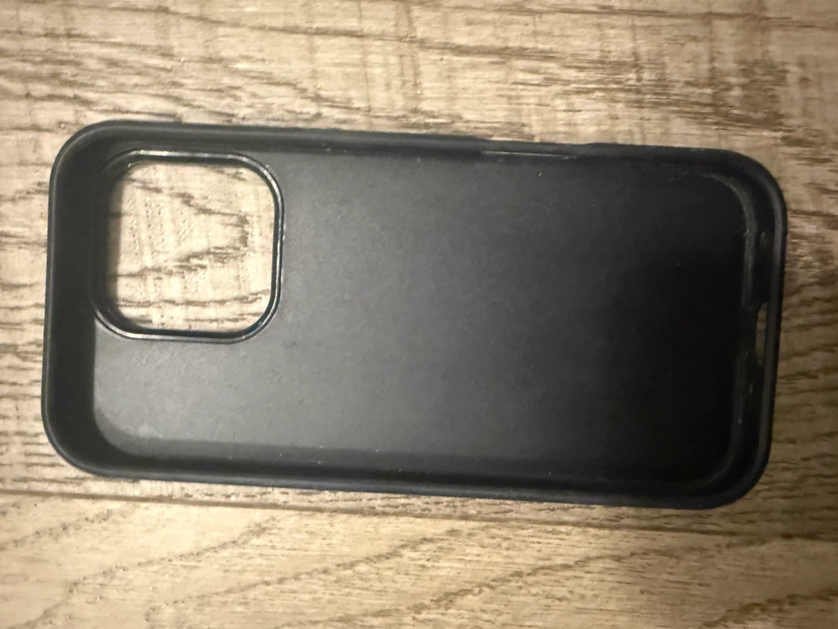 Casetify x Lorien Stern iphone16pro case - photo 2