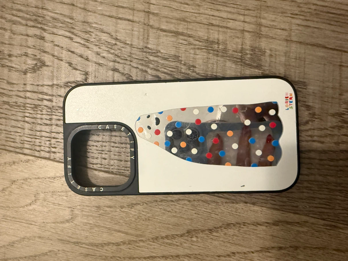 Casetify x Lorien Stern iphone16pro case