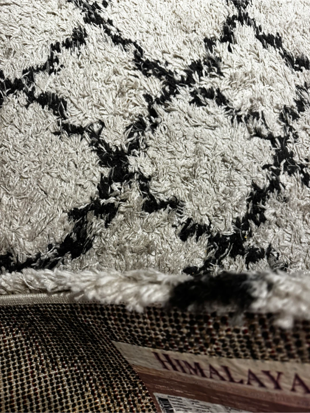 Home Dynamix Himalaya Cream and Anthracite Area Rug - photo 3