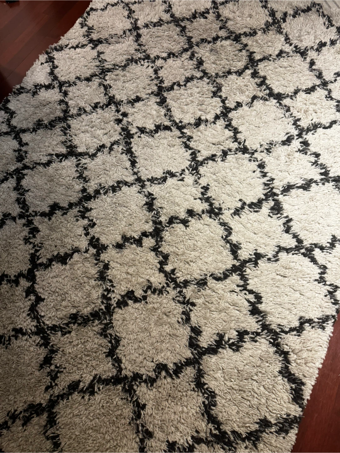 Home Dynamix Himalaya Cream and Anthracite Area Rug - photo 4