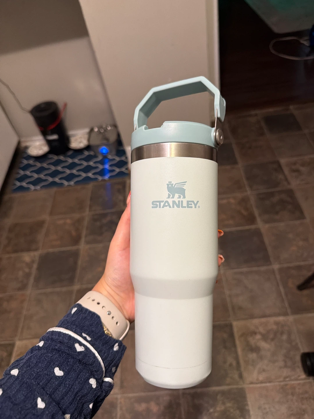 Stanley IceFlow Flip Straw Tumbler