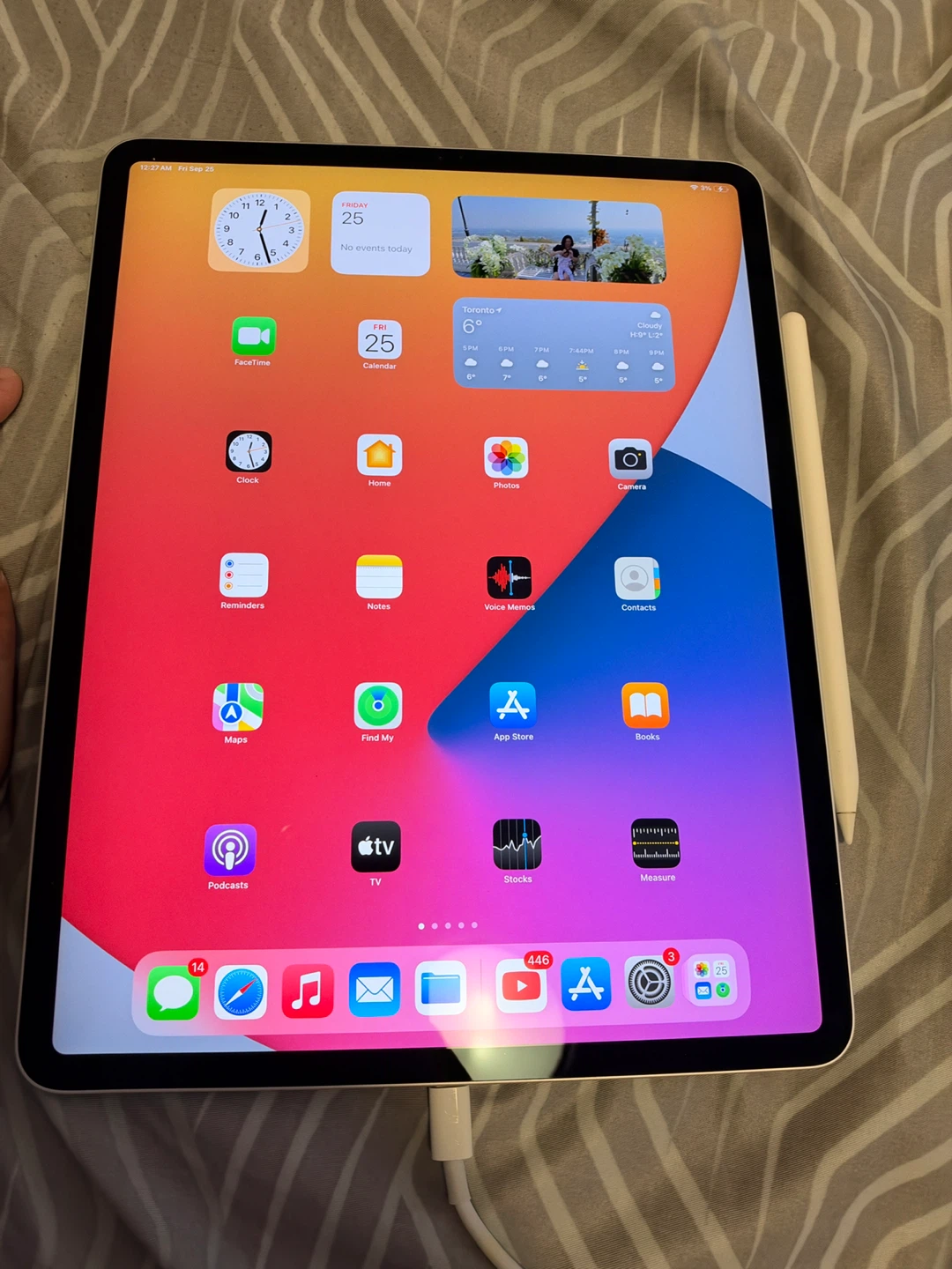 Apple iPad Pro 12.9-inch 4th Generation 128GB with pen