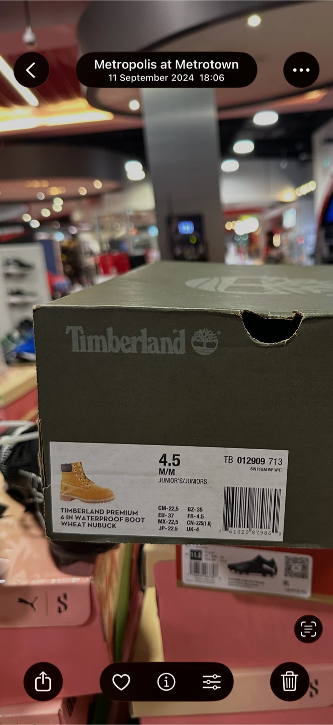 Timberland Premium 6-Inch Waterproof Boots Wheat