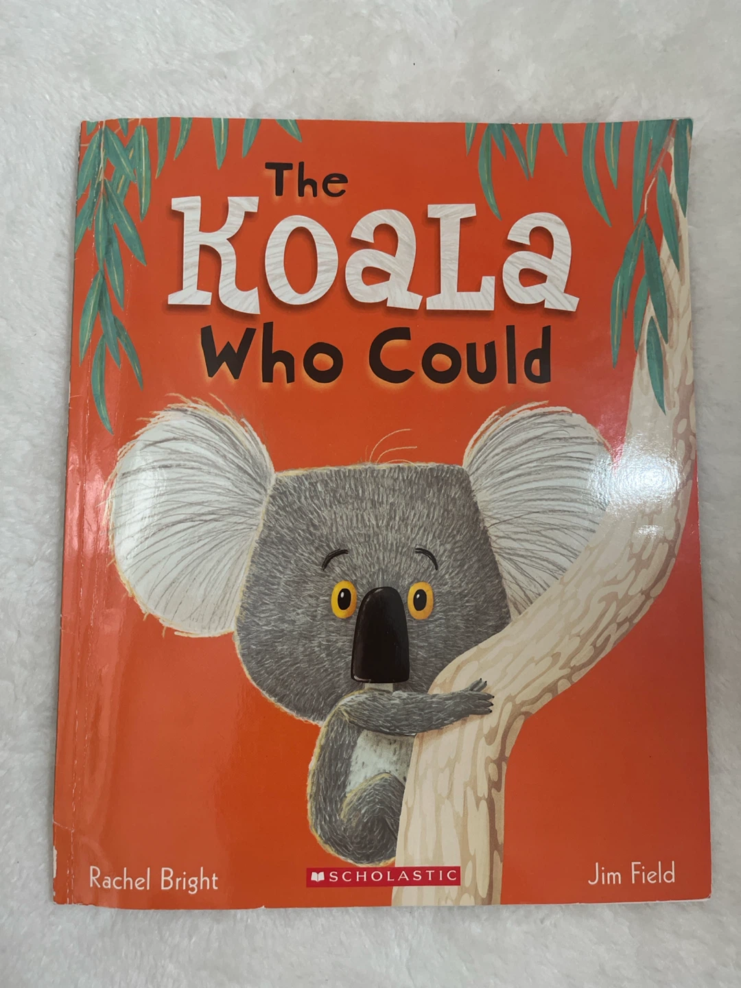 The Koala Who Could Book