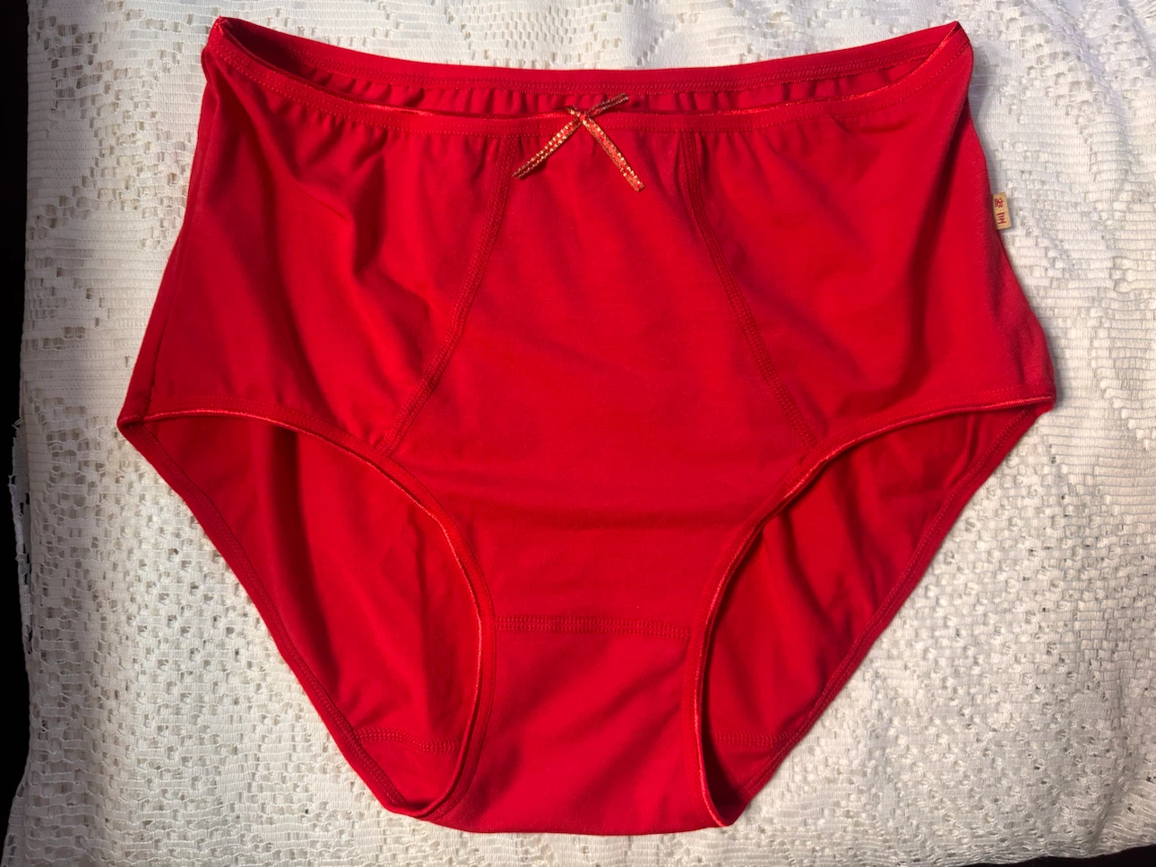 NEW Red High-Waisted Underwear 6 pieces