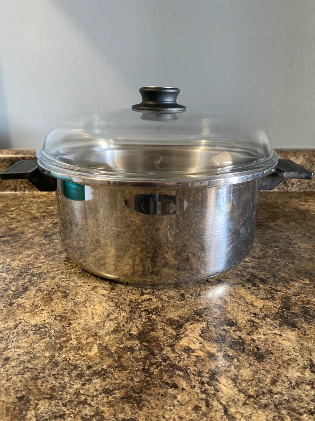 Stainless steel pot with lid