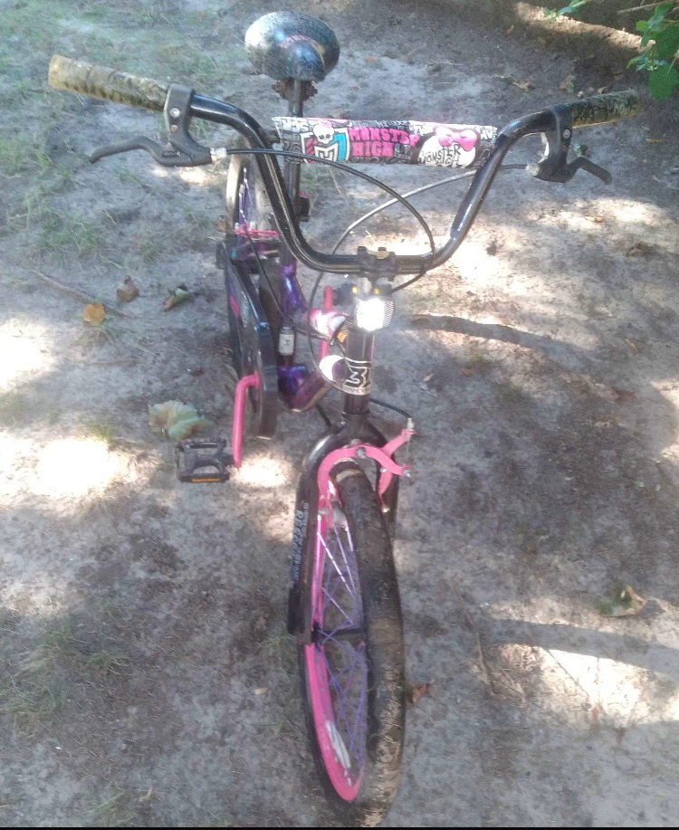 Monster High Girls Bicycle - photo 2