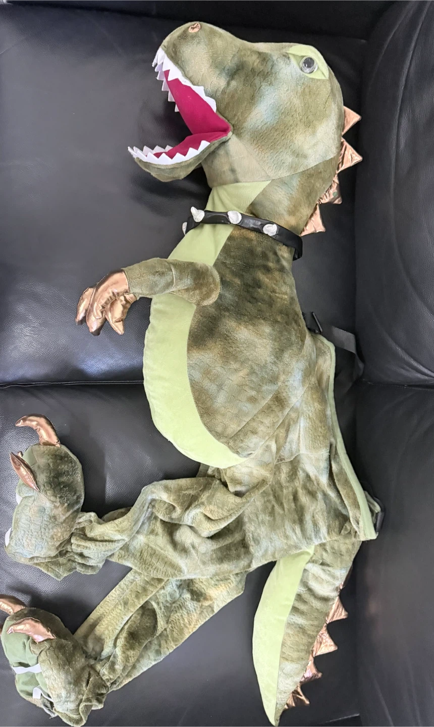 Dinosaur Costume