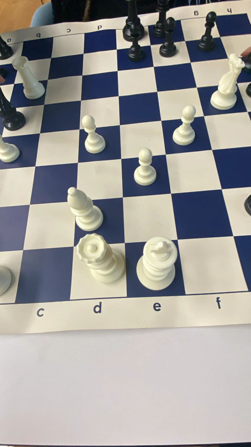 Blue and White Vinyl Chess Board