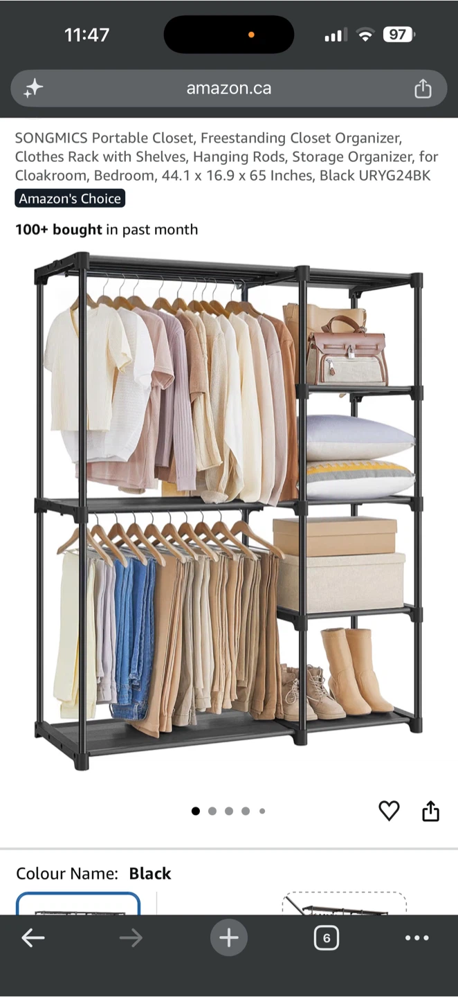 SONGMICS Portable Freestanding Closet Organizer - Black