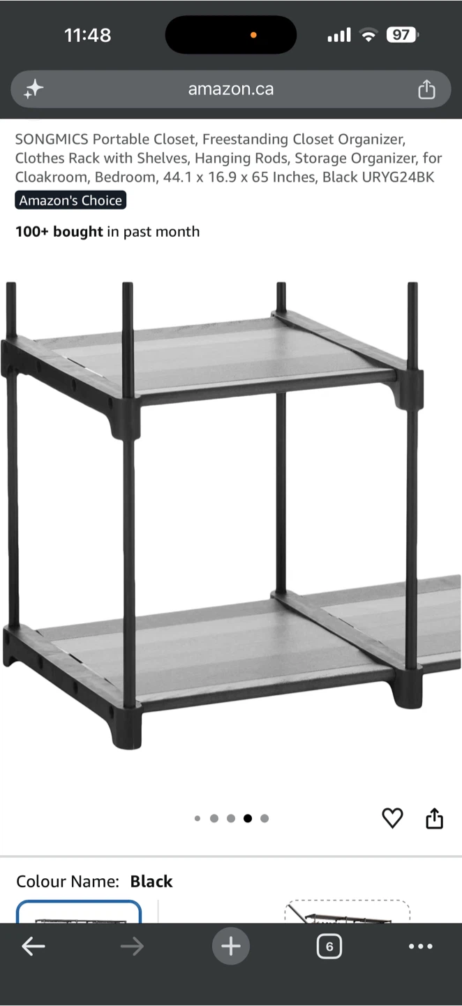 SONGMICS Portable Freestanding Closet Organizer - Black - photo 3