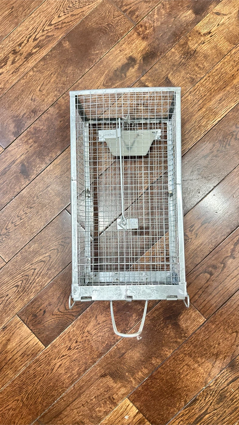 Metal Humane Mouse Cage Trap