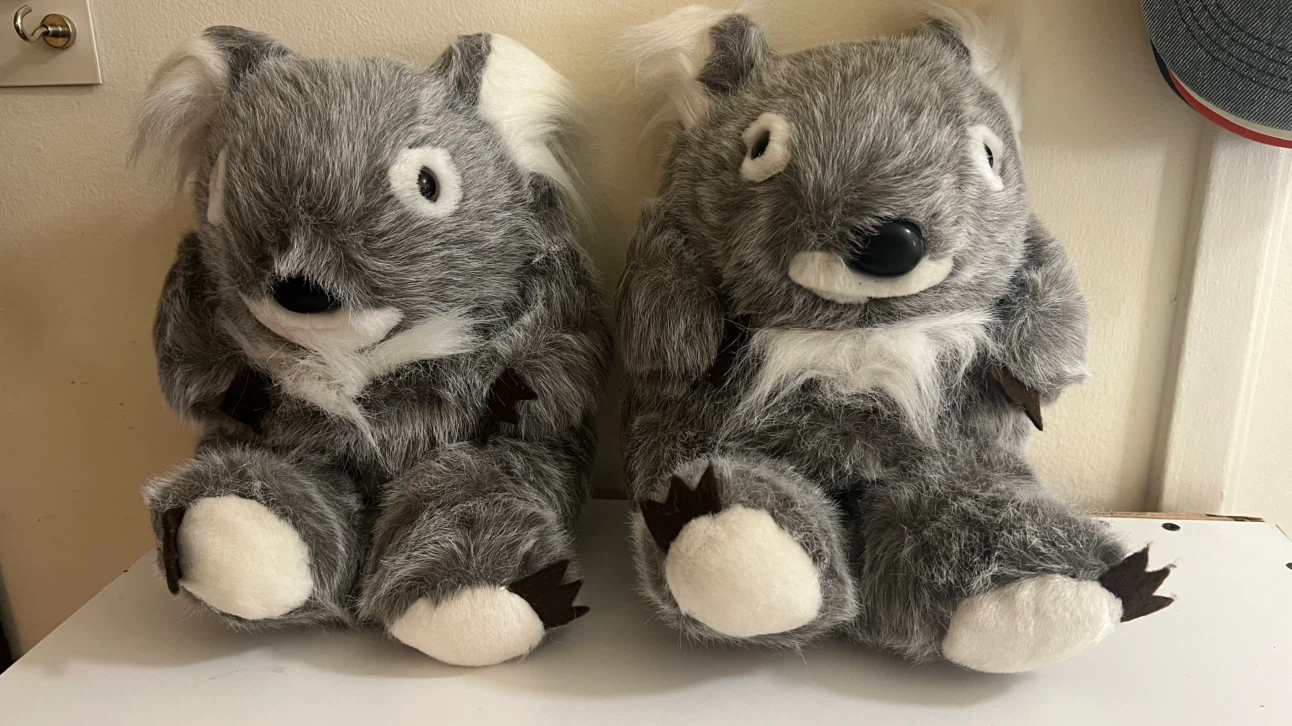 Koala Plush Slippers
