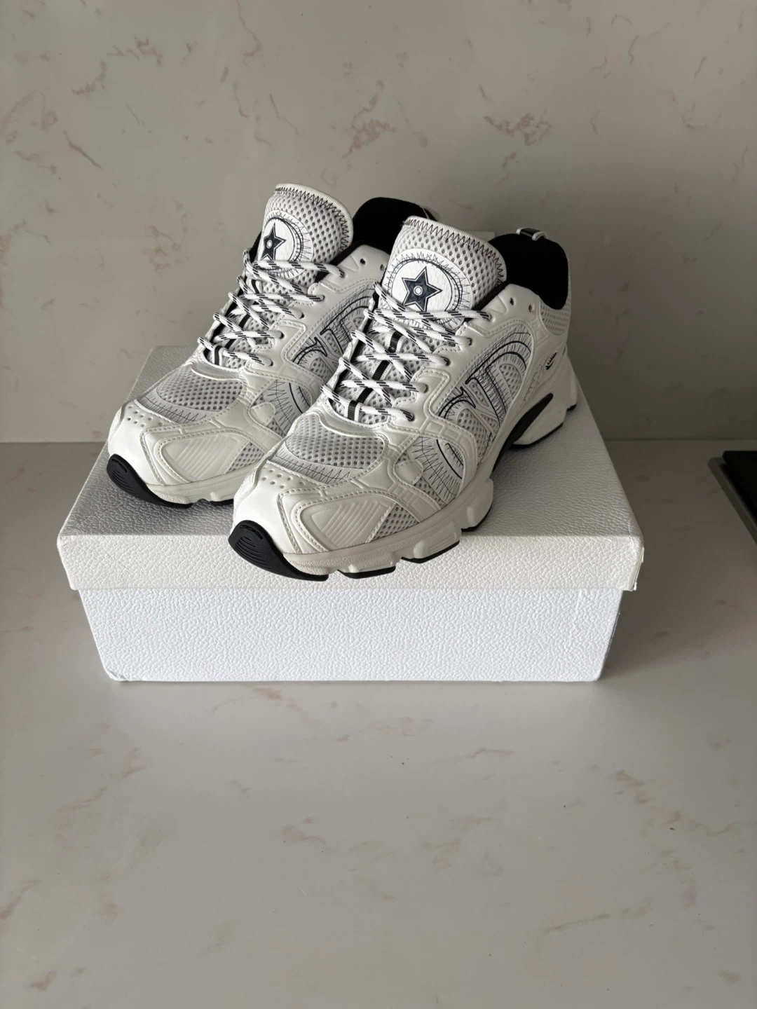 Dior B30 Sneakers White