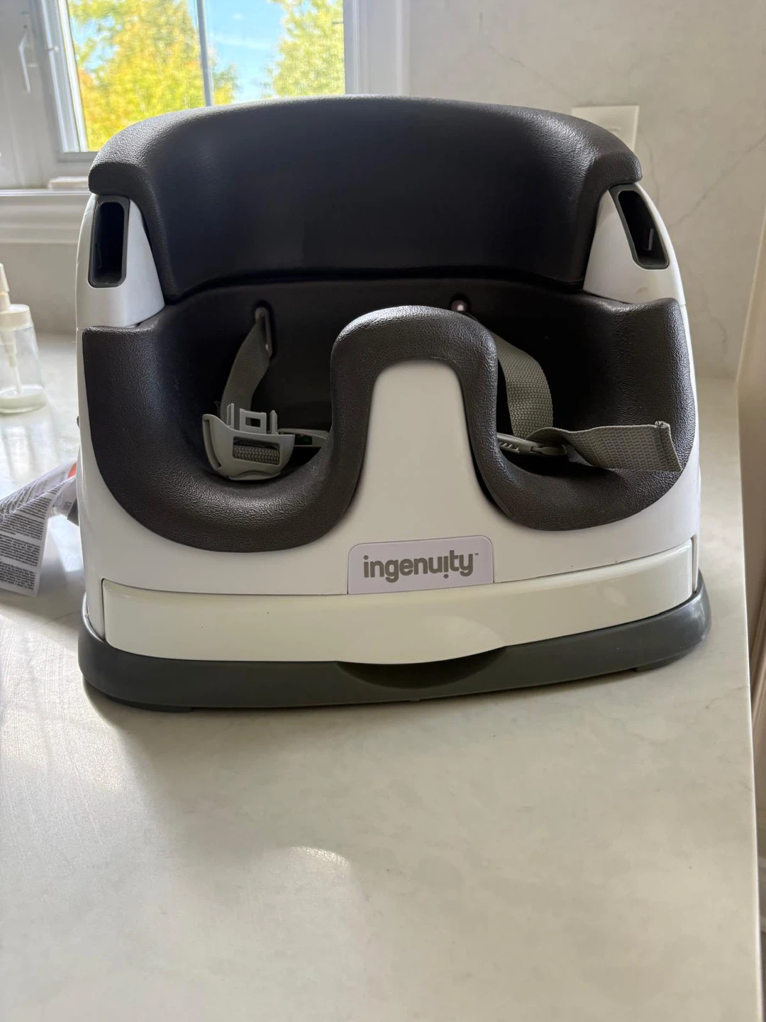 Ingenuity Baby Base Seat