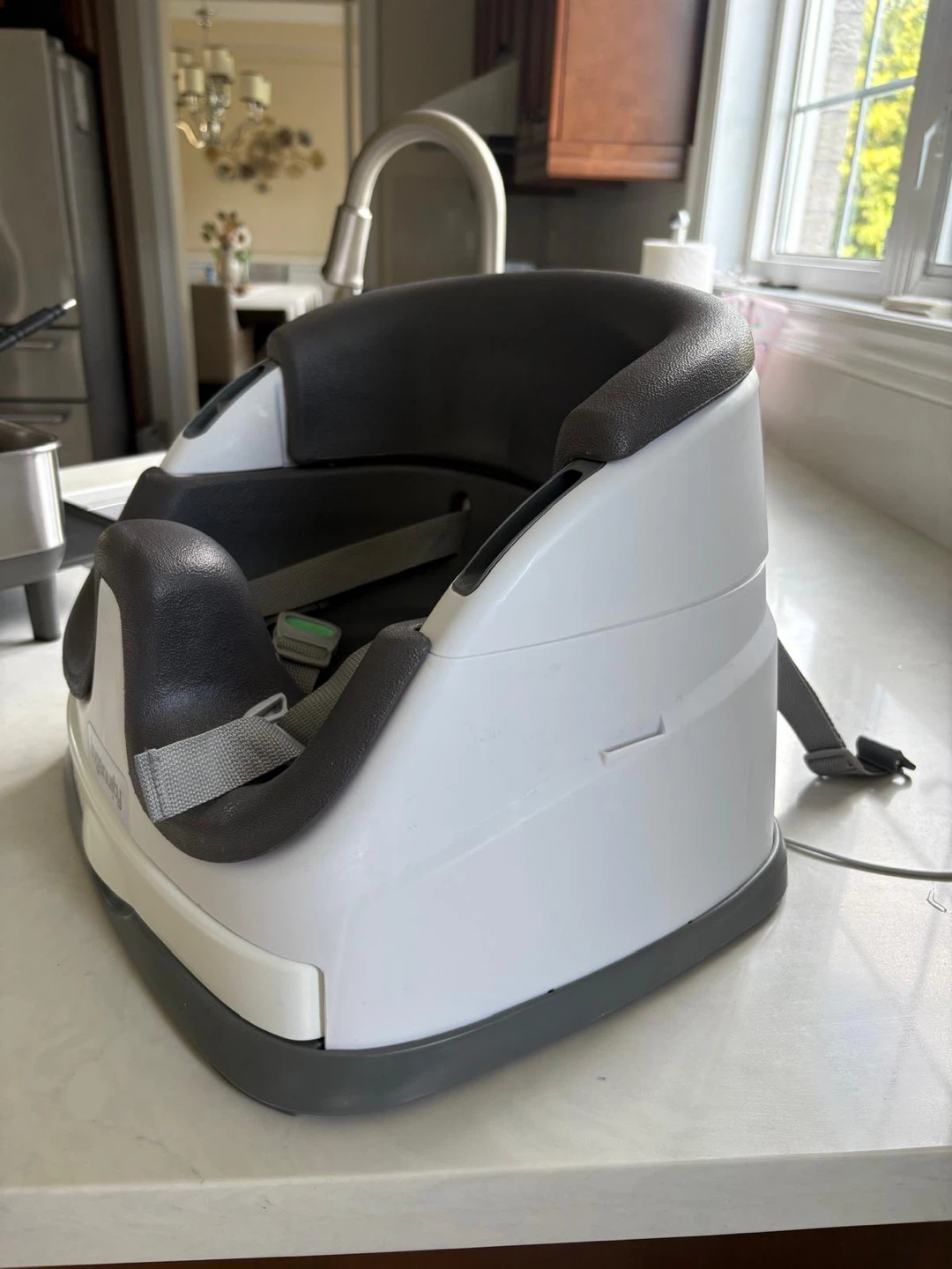 Ingenuity Baby Base Seat - photo 3