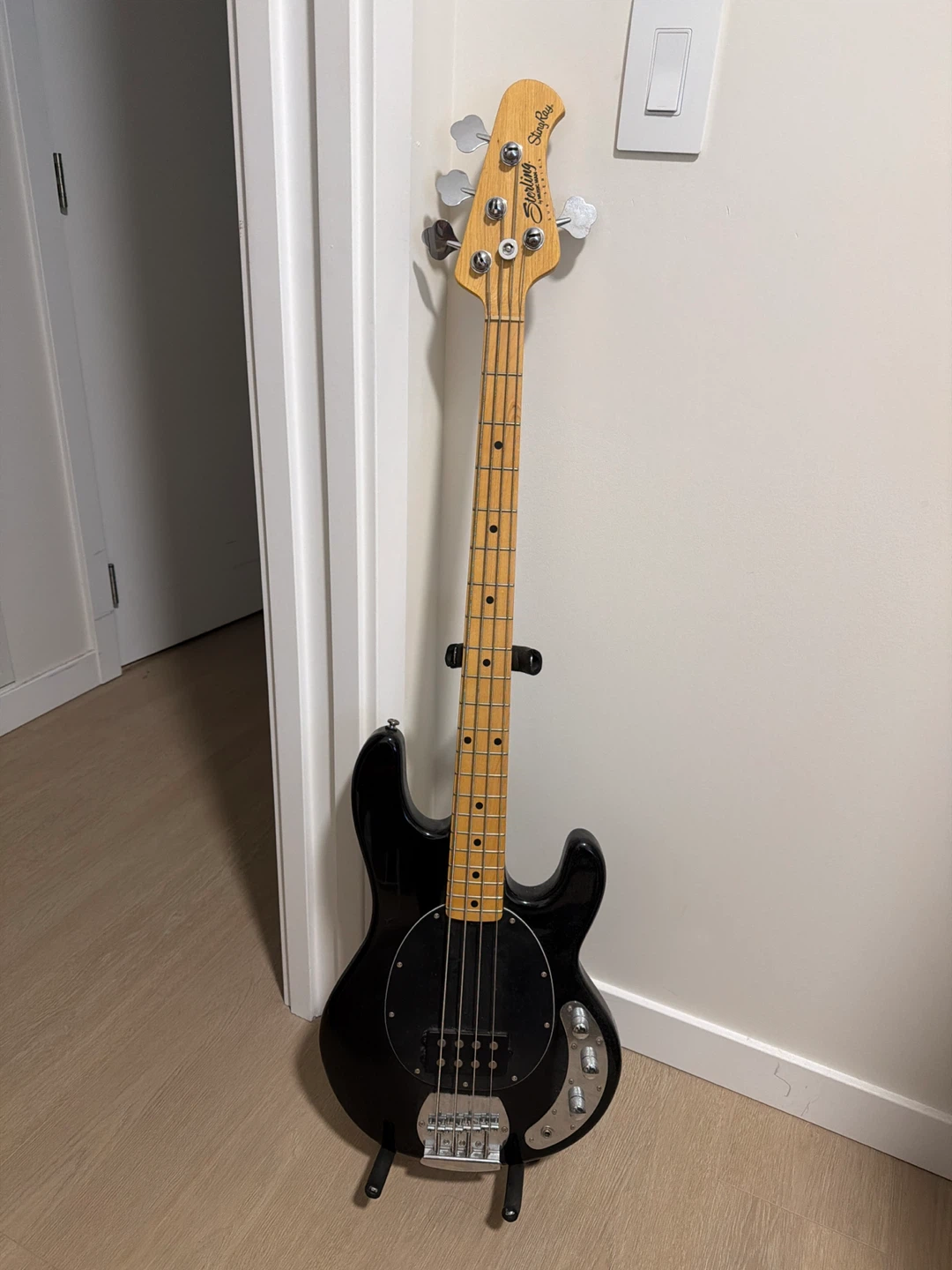 Sterling by Music Man StingRay Bass