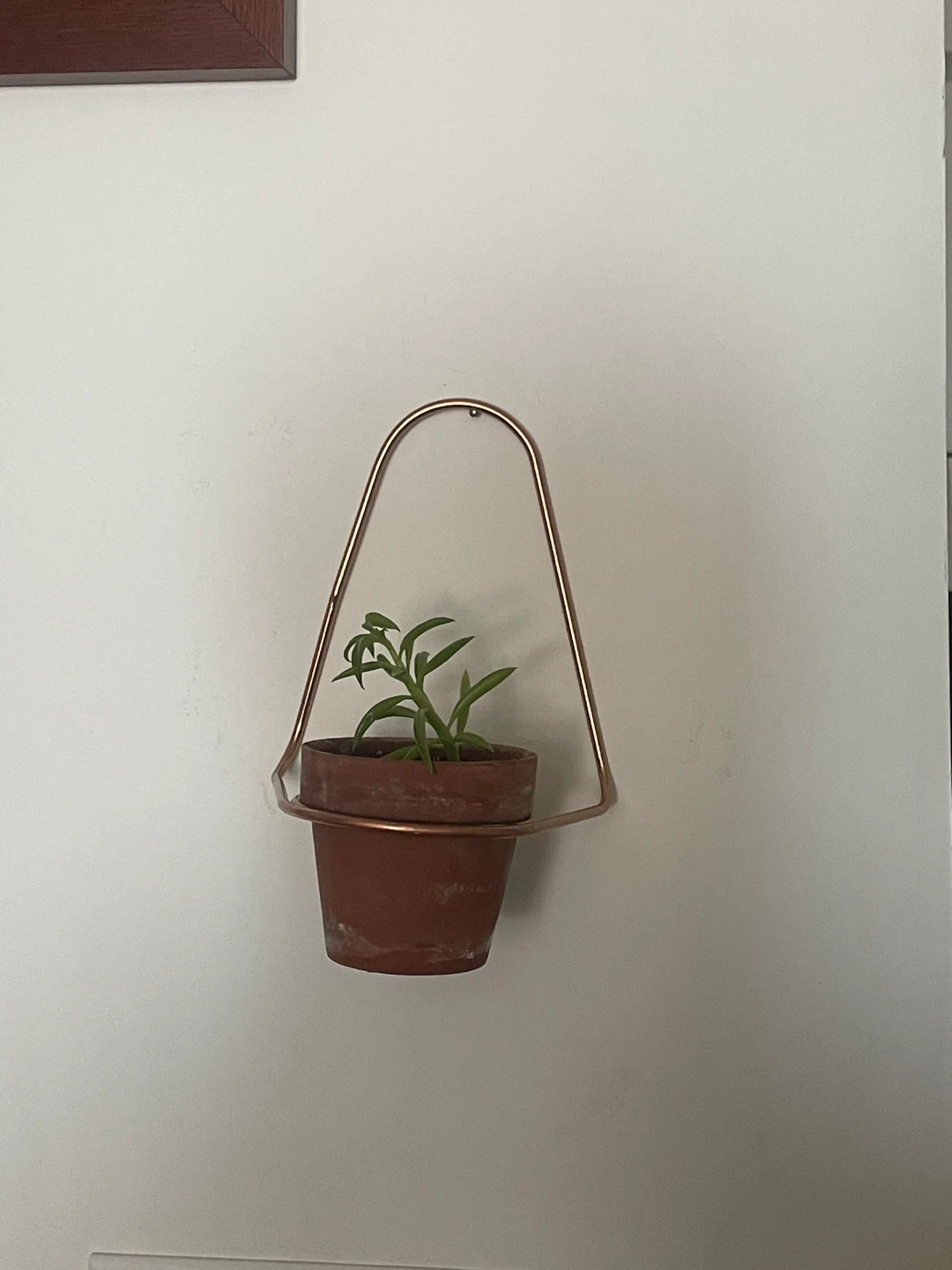 Wall-mounted Copper Hanging Planter - photo 2