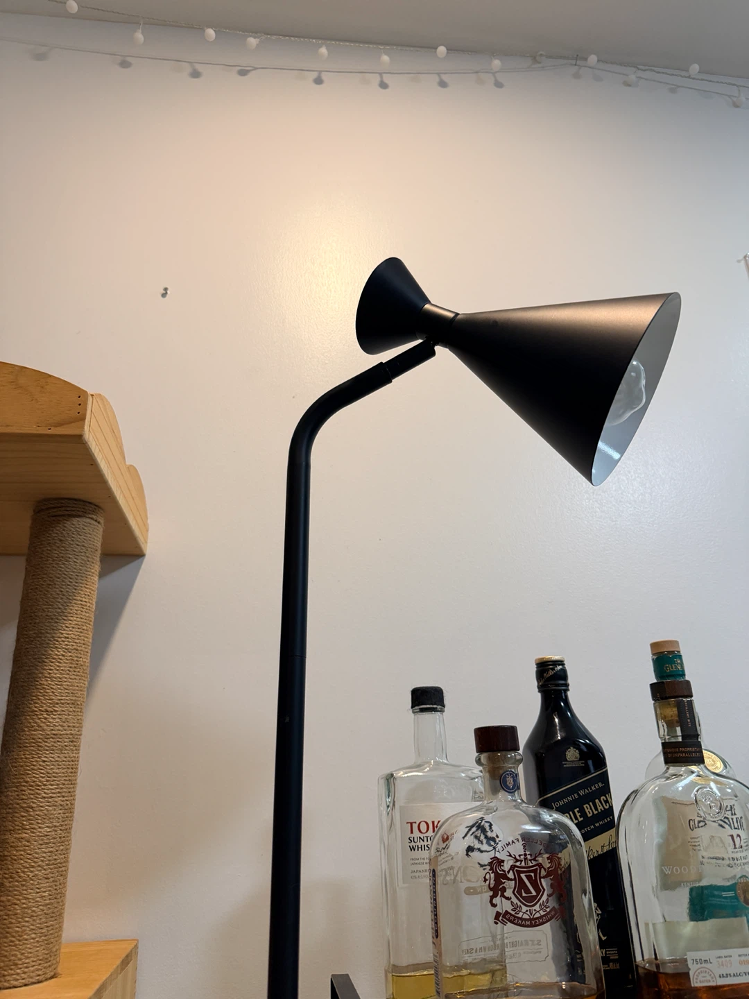 Modern Black Floor Lamp - photo 2