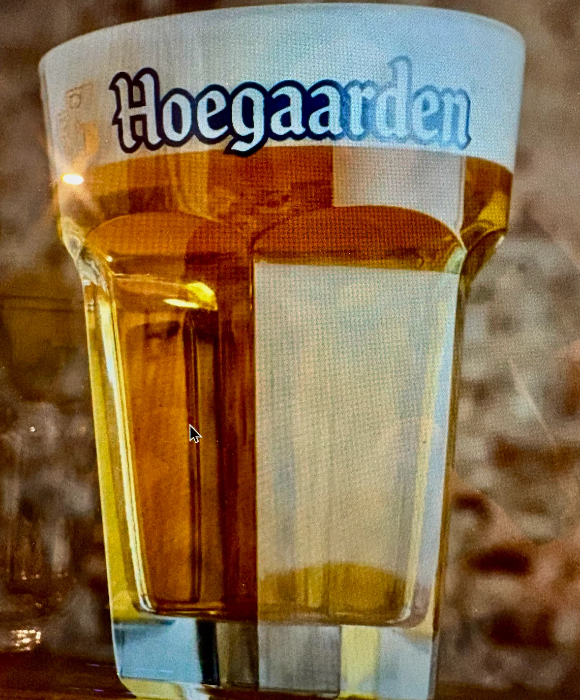 BNNU 6 Hoegaarden Beer Glasses !